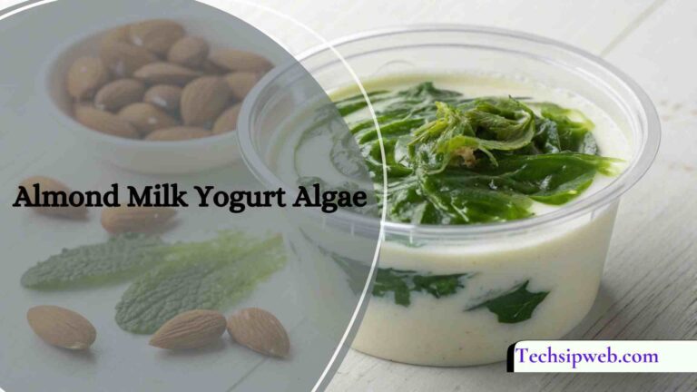 Almond Milk Yogurt Algae – A Delicious, Plant-Based Superfood!