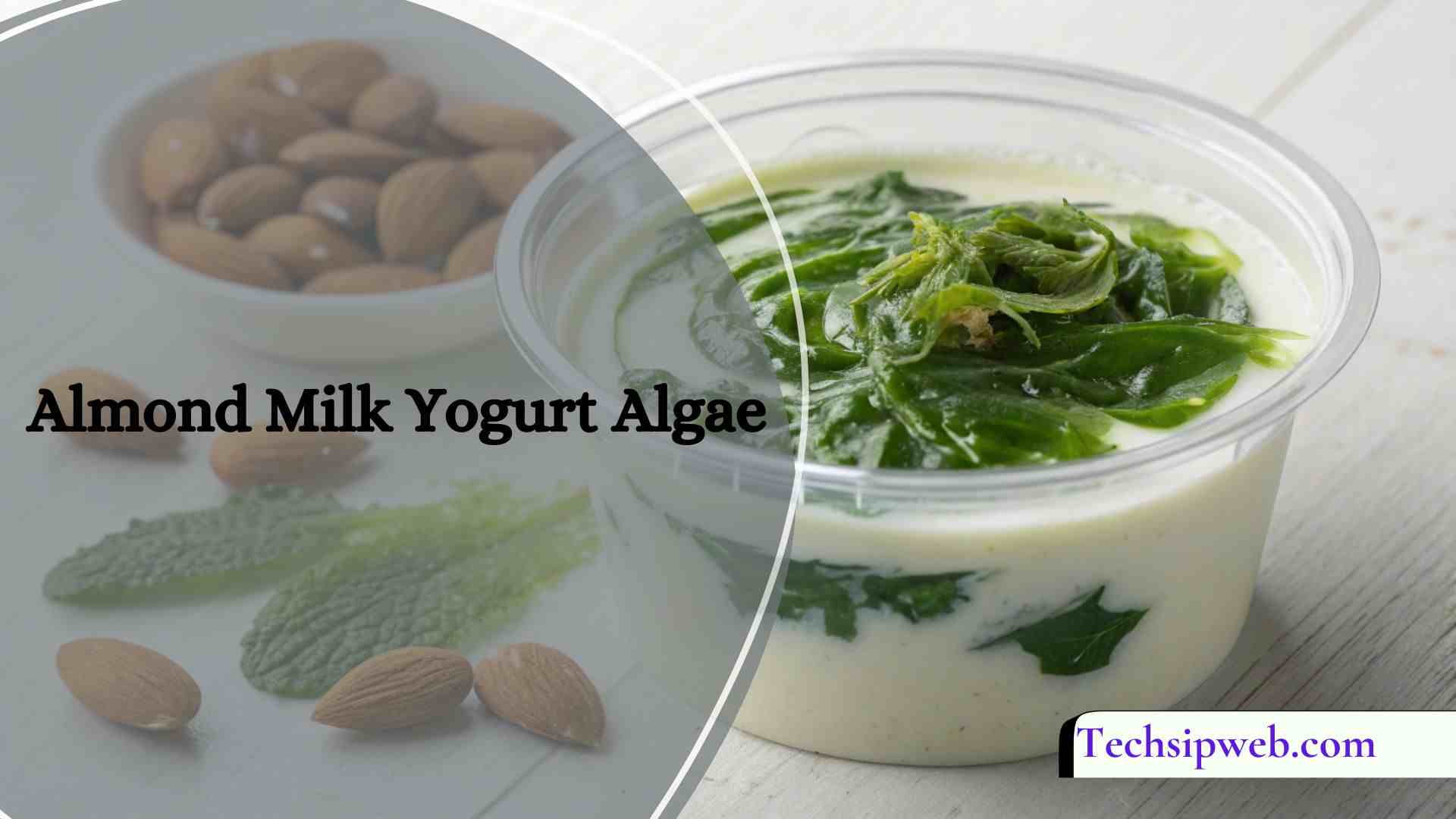 Almond Milk Yogurt Algae