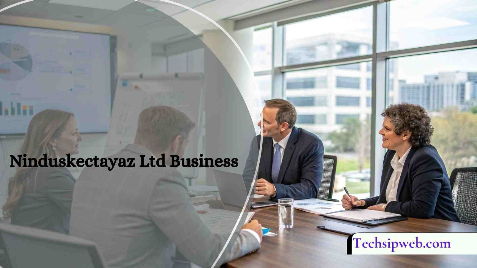 Ninduskectayaz Ltd Business