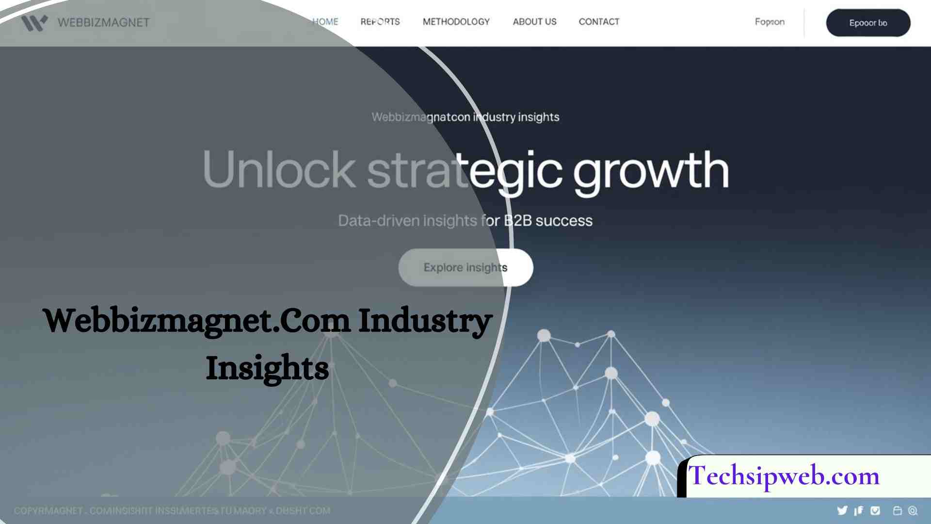 Webbizmagnet.Com Industry Insights